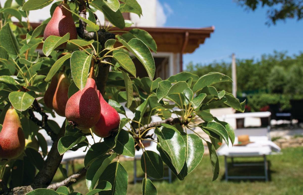 Le Margherite Country House Montefalcone Appennino Esterno foto